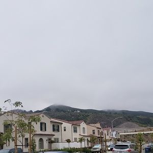 Meet your Posher, Olive